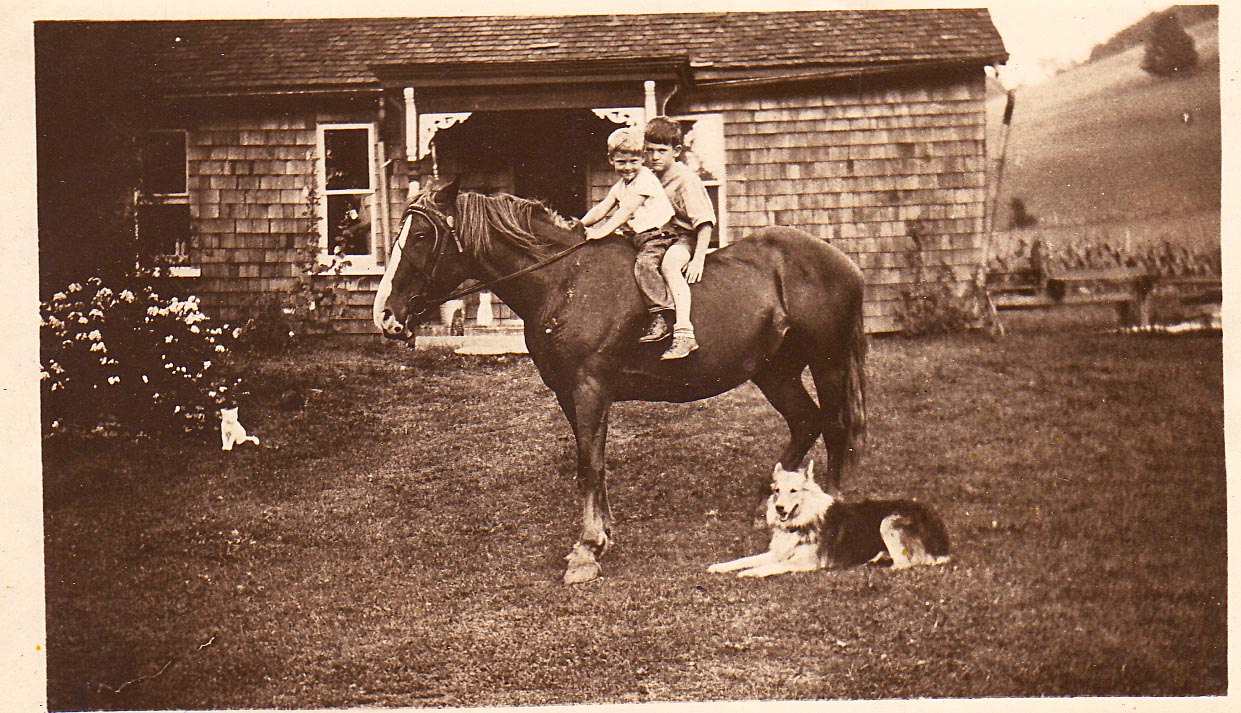 owen richard griffith hugh griffith new york farm