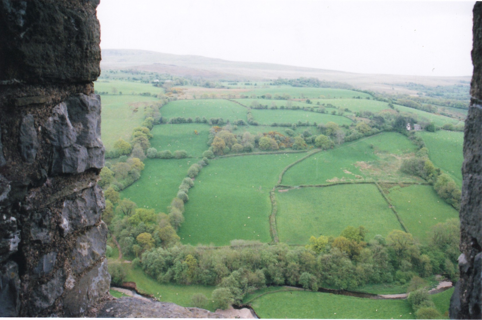 Cerreg cennen